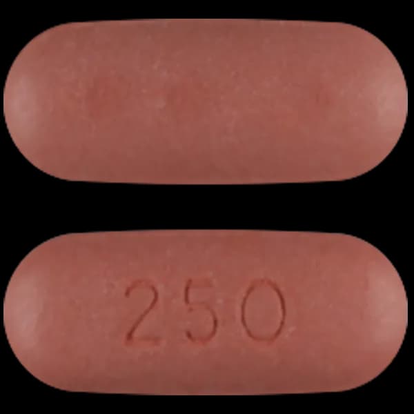 Generic Levaquin 250mg