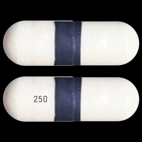 Generic Chloromycetin